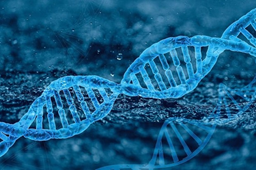 Gene technology laws to be modernised