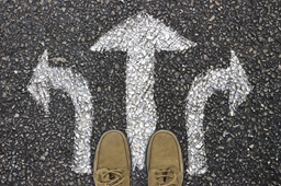 Inland Revenue’s Long-Term Insights Briefing